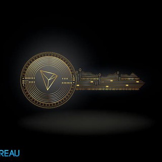 Telegram profile photo for Tron Hali payment 📤