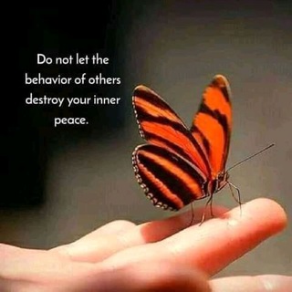 Telegram profile photo for Fight for a Butterfly