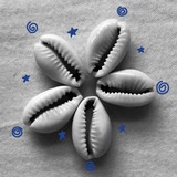Telegram profile photo for Molliatés.