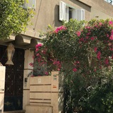 Telegram profile photo for Beģubor qalb maskani
