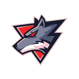 Telegram profile photo for Wolf trader chat