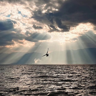 Telegram profile photo for 长沙大鹏扶贫日记