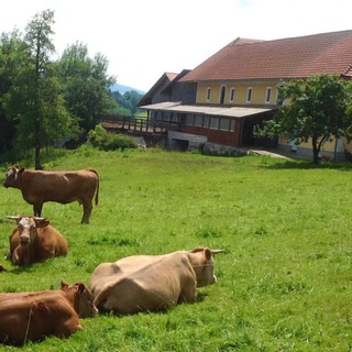 Telegram profile photo for Initiative Hochschopf - ein Hof wandelt sich...