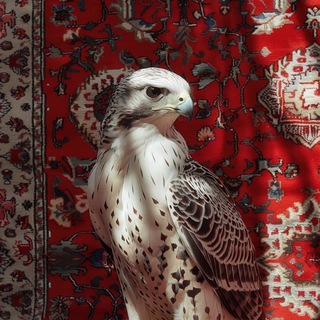 Telegram profile photo for فخــامة ملكـ♕