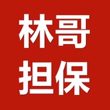 Telegram profile photo for 林哥担保-供应需求