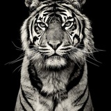 Telegram profile photo for Powerful Mind