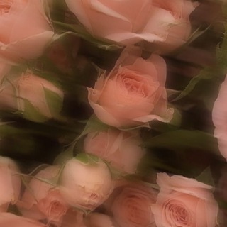 Telegram profile photo for ✿્᭄͜͡•๋๋๋๋๋๋๋๋๋๋𝐑𝐨𝐲𝐚𝐥 𝐒𝐨𝐮𝐥𝐬✿્᭄͜͡