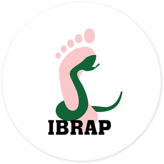 Telegram profile photo for Jonas Campos - IBRAP
