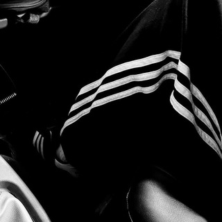 Telegram profile photo for ⑅ Altitude 🕸️ B&W