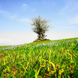 Telegram profile photo for روستای قشلاق