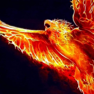Telegram profile photo for Phönix Aus Asche Auferstanden