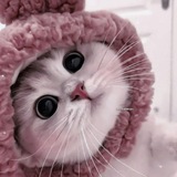 Telegram profile photo for пруфы никки