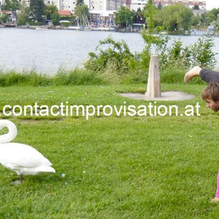 Telegram profile photo for Contact Improvisation Wien