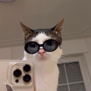 Telegram profile photo for BLOCK ME OUT