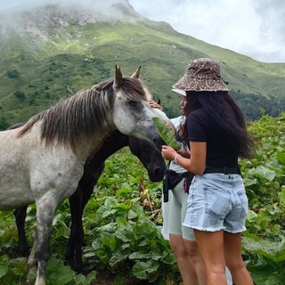 Telegram profile photo for сочи хайкинг клаб🩼