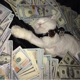 Telegram profile photo for Переходник арбуз 1win