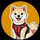 Telegram profile photo for Dogey - $DOGEY portal