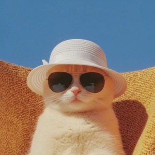 Telegram profile photo for Всему моё время