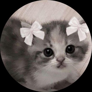 Telegram profile photo for мифуша монтирует