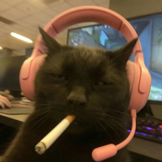 Telegram profile photo for PlayGround