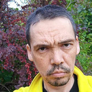 Telegram profile photo for Константин Ишутов | Блог