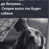 Telegram profile photo for ОГЛАСКА ПОМОЩИ И СПАСЕНИЯ ВСЕМ ЖИВОТНЫМ 😿🐕🐈🐴🐎🫏🐻