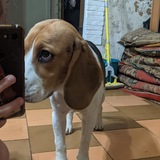 Telegram profile photo for кадры Кэри