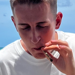 Telegram profile photo for Monkey bublikic