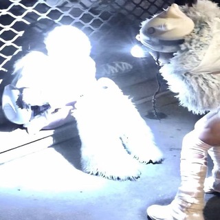 Telegram profile photo for random )