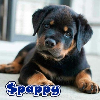 Telegram profile photo for Pappy Official