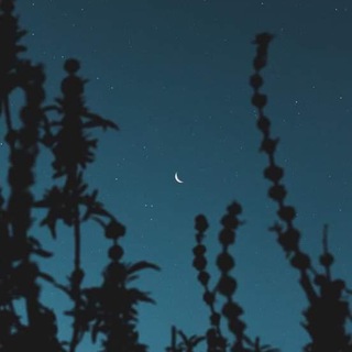 Telegram profile photo for نُور على نُور 🌿.