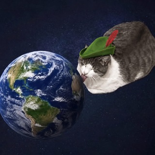 Telegram profile photo for world licking cat