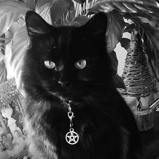 Telegram profile photo for your bae