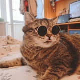 Telegram profile photo for Просто, Мори