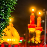 Telegram profile photo for عَشَّگ رَيّفــيّے25 ♛♥