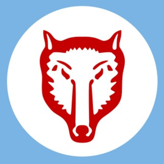 Telegram profile photo for Первый Гагаузский