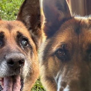 Telegram profile photo for Домик немцов🤎