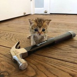 Telegram profile photo for Закопаный по шею человек