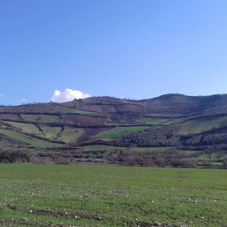 Telegram profile photo for دهیاری روستای اسپومحله