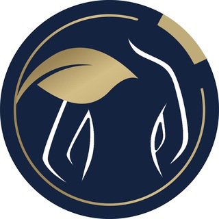 Telegram profile photo for АЭК Health&Wellness