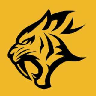 Telegram profile photo for AYN Signals