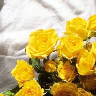 Telegram profile photo for غيّم🌻.