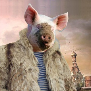Telegram profile photo for Клирик & Скрепецкий
