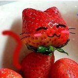 Telegram profile photo for 😻My cat❤️