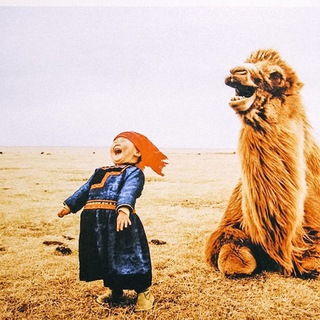 Telegram profile photo for Монголия Гид 🐫
