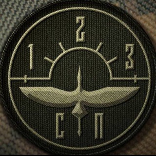Telegram profile photo for 95 (123) Стрелковый полк 🇷🇺