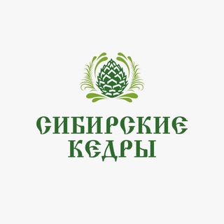 Telegram group profile photo for «Сибирские кедры»: обсуждения, комментарии, вопросы