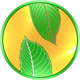 Telegram profile photo for NUSAKU ANNOUNCEMENT