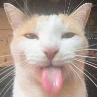 Telegram profile photo for SILI CLUB