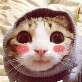 Telegram profile photo for fbdawanjia 频道